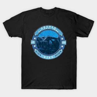 Arches By Night T-Shirt